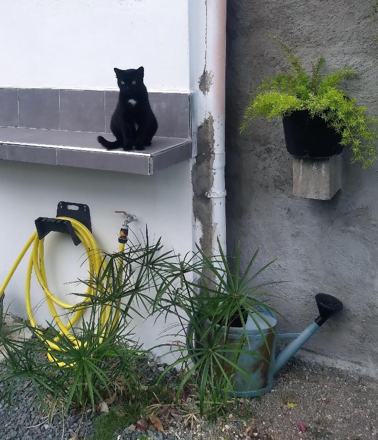 Chambre Avec Cuisine Et Sdb Semi-Privatives Separees Dans Un Ecrin De Verdure Les Abymes Εξωτερικό φωτογραφία