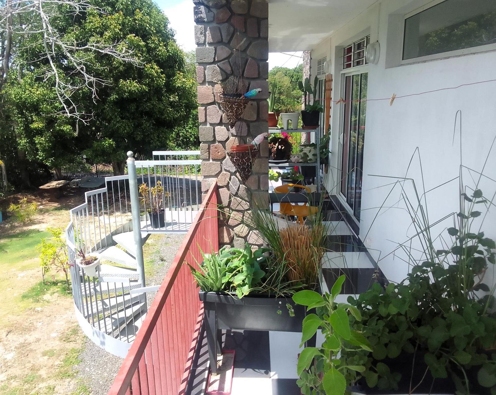 Chambre Avec Cuisine Et Sdb Semi-Privatives Separees Dans Un Ecrin De Verdure Les Abymes Εξωτερικό φωτογραφία