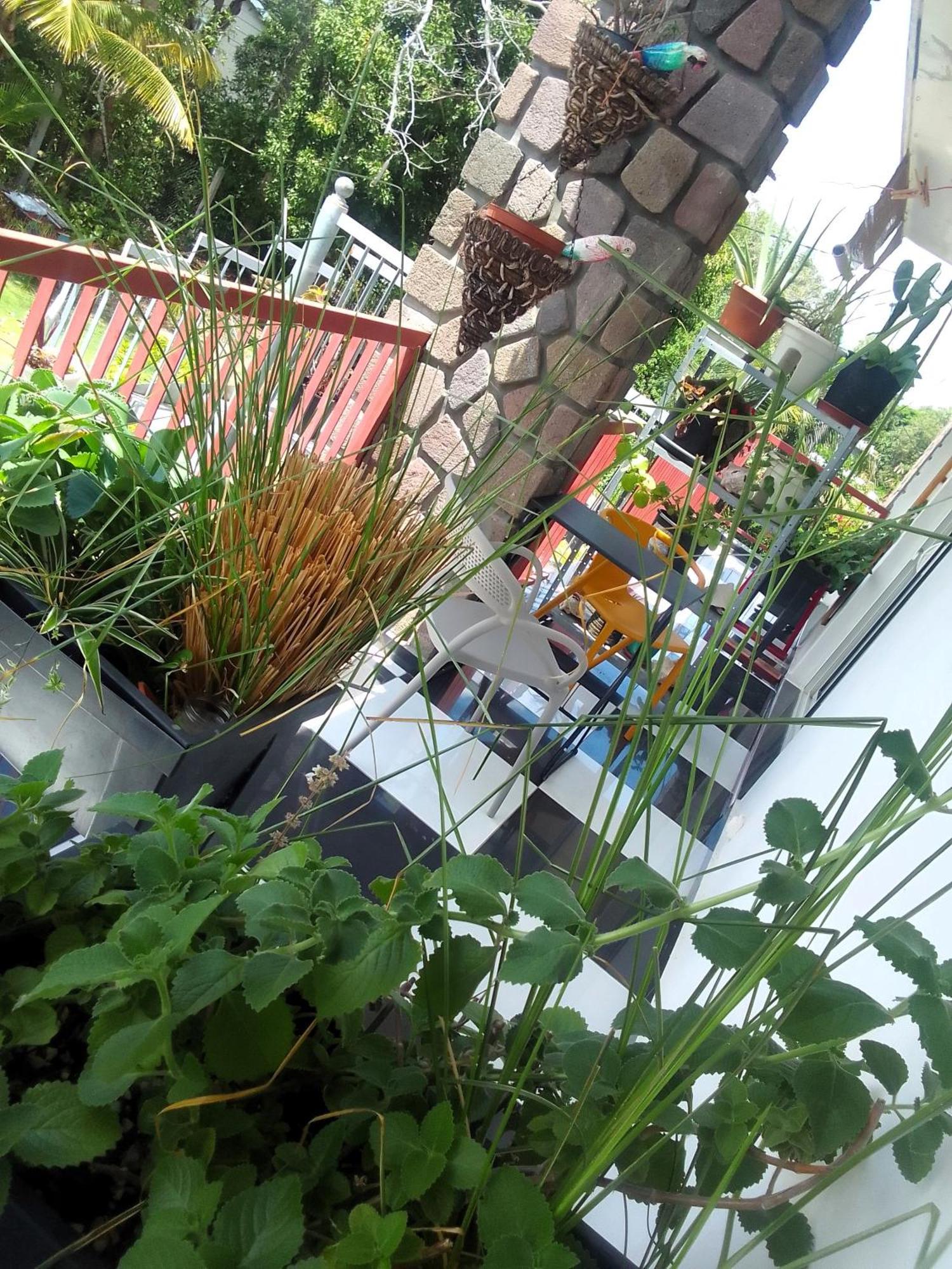 Chambre Avec Cuisine Et Sdb Semi-Privatives Separees Dans Un Ecrin De Verdure Les Abymes Εξωτερικό φωτογραφία